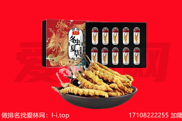 博尔塔拉温泉县回收虫草.jpg